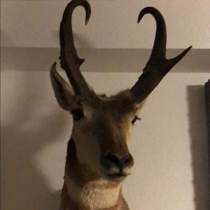 Meet your Posher, Sebastian